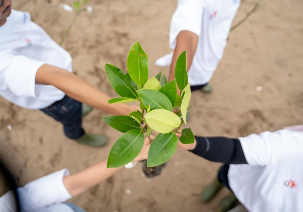 Telkom Pertegas Komitmen Energi Terbarukan di Hari Bumi 2025: Langkah Nyata Menuju Masa Depan Berkelanjutan