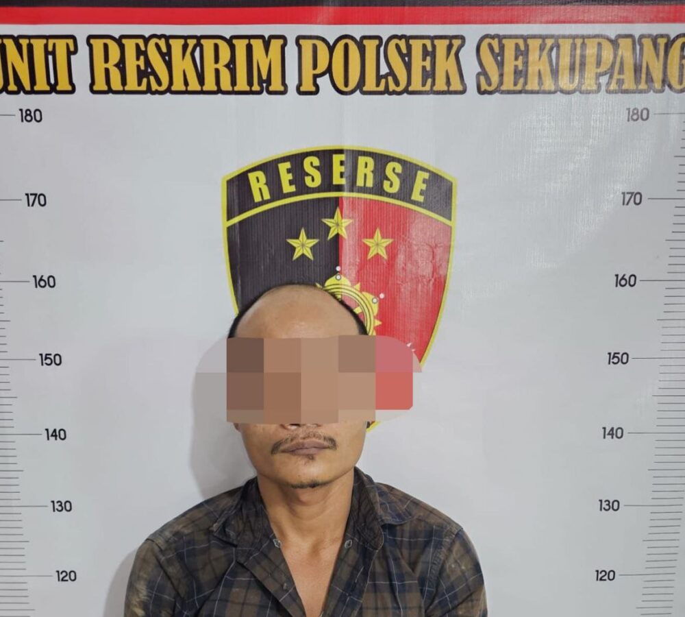 Belum Kapok! Residivis Kabel Gardu Beraksi Lagi, Sekupang Mendadak Gelap