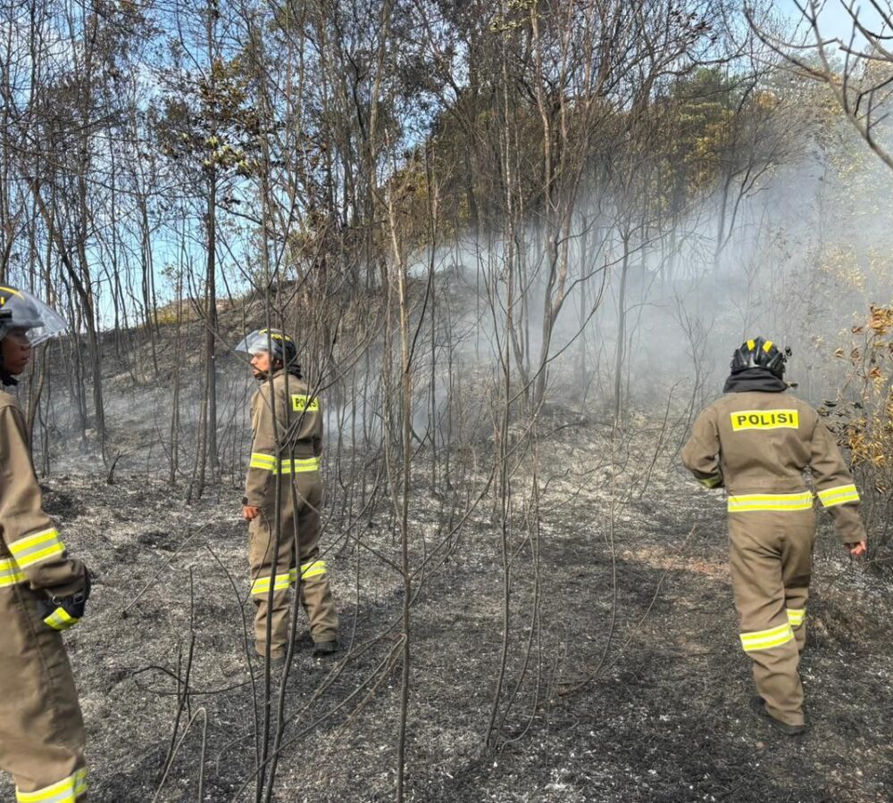 Brimob Polda Kepri Gercep Padamkan Kebakaran Hutan Bukit Daeng Tembesi