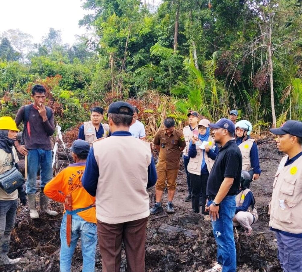 Lahan Sagu Pekaka Lingga, PT CSA Klaim Tak Sengaja, Pemda Minta Hentikan Land Clearing