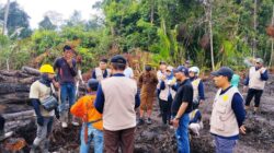 Lahan Sagu Pekaka Lingga, PT CSA Klaim Tak Sengaja, Pemda Minta Hentikan Land Clearing