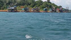Geger! Sembilan Mesin TI Timah Berjejer di Pulau Selayar, Dugaan Aktivitas Ilegal Mencuat