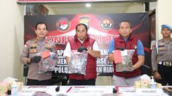 Jasa COD Sabu Laut & Ganja Online Ambyar! Polda Kepri Sapu Bersih 24 Lapak ‘Haram’